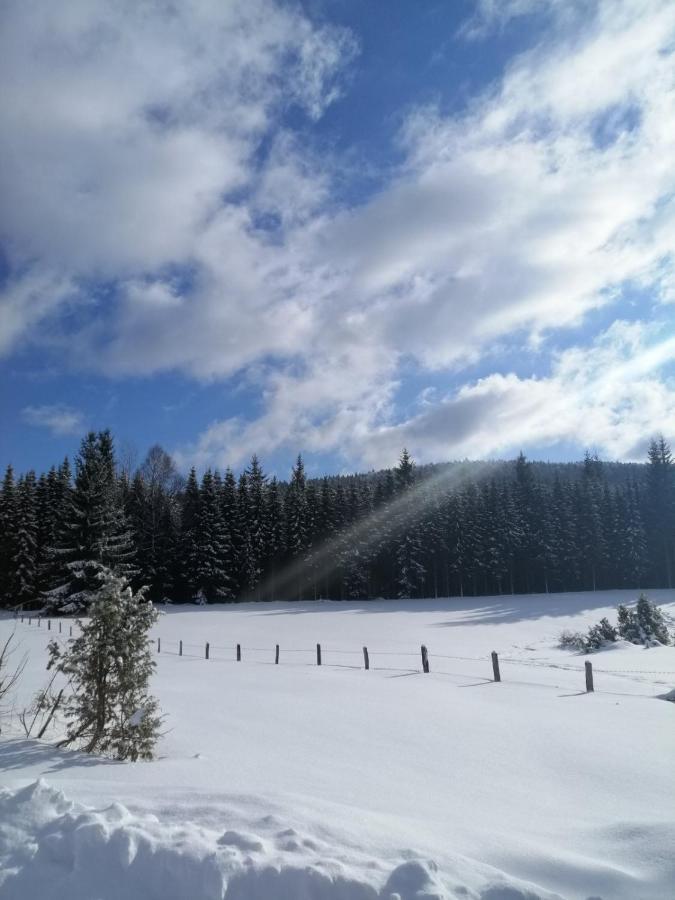 Вілла Mountain House Tadic 1 Баїна-Башта Екстер'єр фото